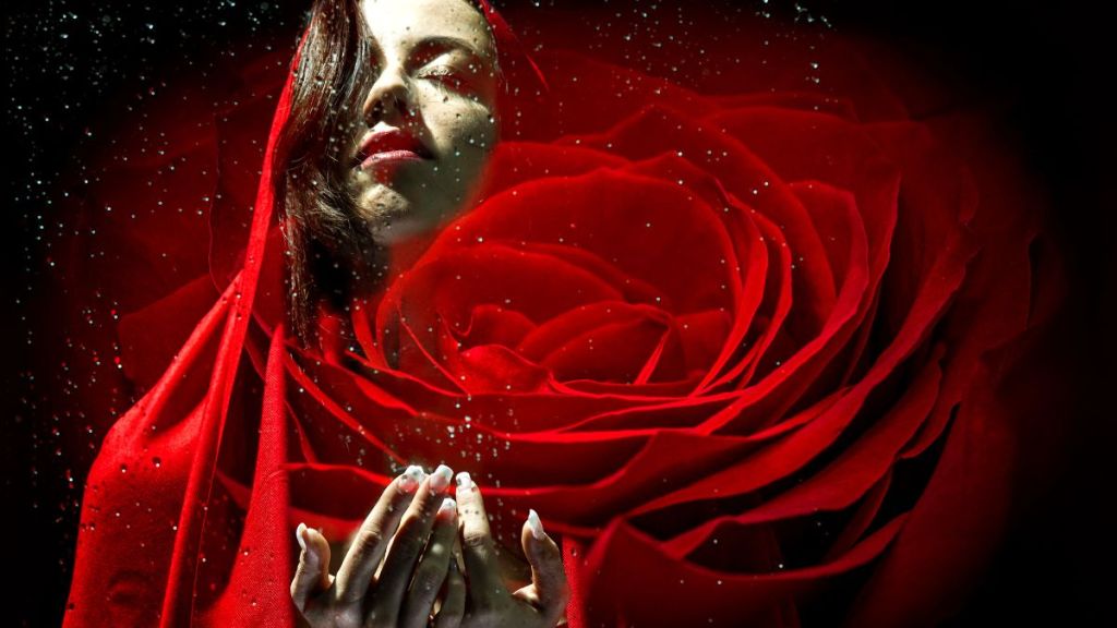 The abstract image of a young woman in red with a red rose superimposed over her
