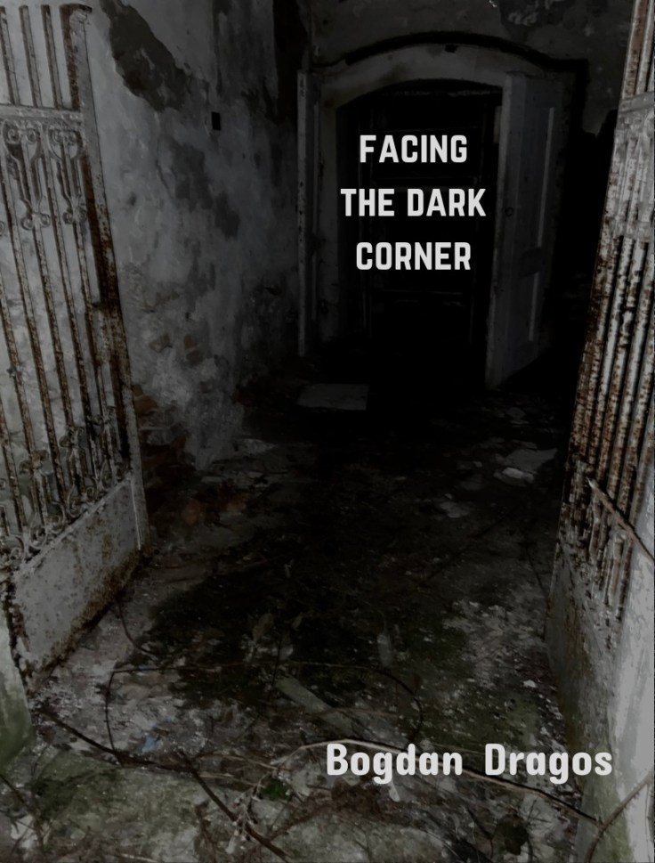 facing the dark corner poetry poetry collection new amazon buy writing writer poet poem bogdan dragos
